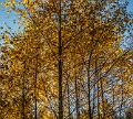 2015_11_01 (0009)